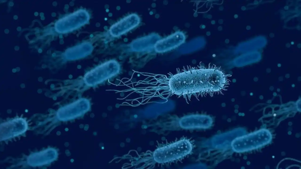 Antibiyotik dirençli bakteri Malezya’da ortaya çıktı haberinin görseli