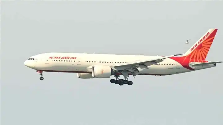 Hong Kong'dan Hindistan'a giden Air India uçağı, teknik arıza nedeniyle geri döndü haberinin görseli