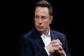 Elon Musk, Amerika Partisi'ni kurdu